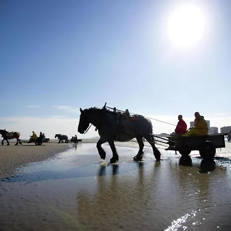 In Near Sandy Beaches, Cleaning Included Nieuwpoort