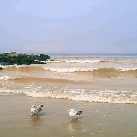 아파트 In Near Sandy Beaches, Cleaning Included *