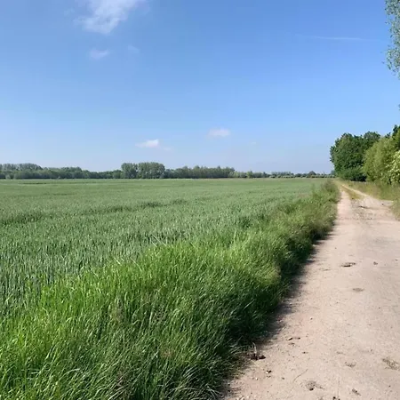 Apartment In With Garden, Cleaning Included Nieuwpoort